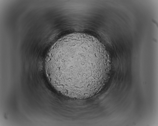 X0000091490032200709131839