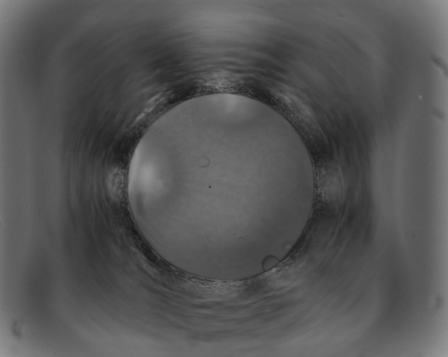X0000091490036200709131839