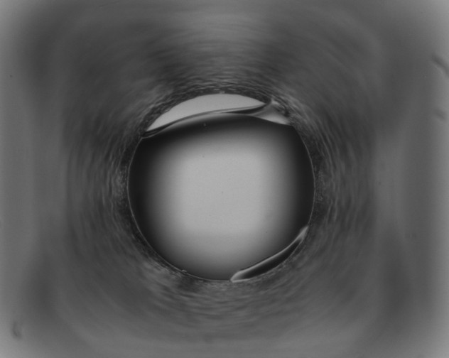 X0000091490037200709131839