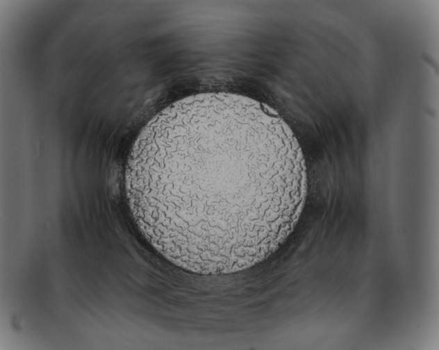 X0000091490038200709131839