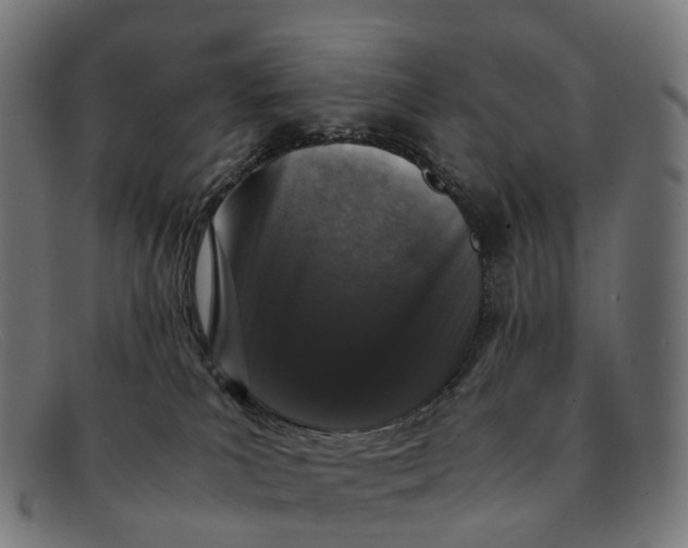X0000091490039200709131839