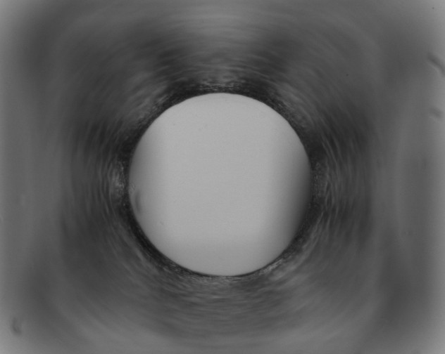 X0000091490040200709131839