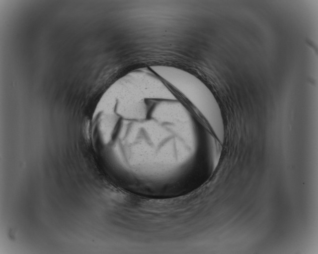 X0000091490041200709131839