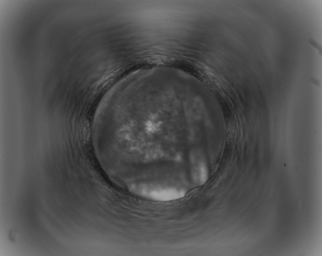 X0000091490043200709131839