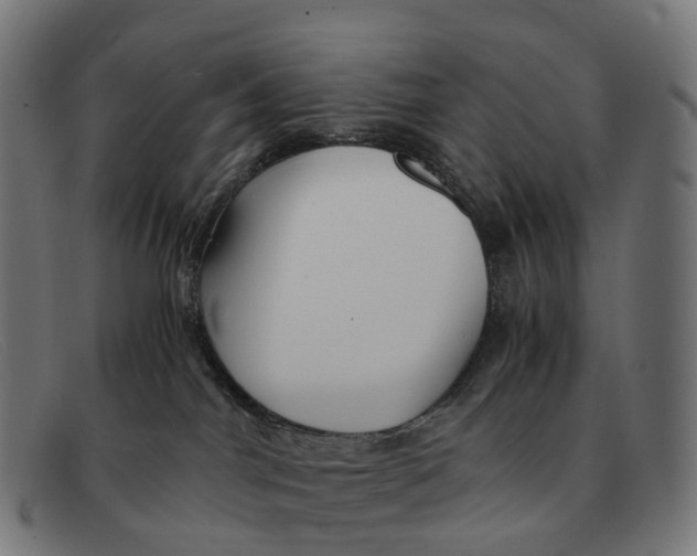 X0000091490044200709131839