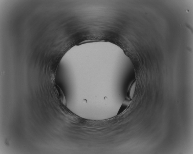 X0000091490045200709131839