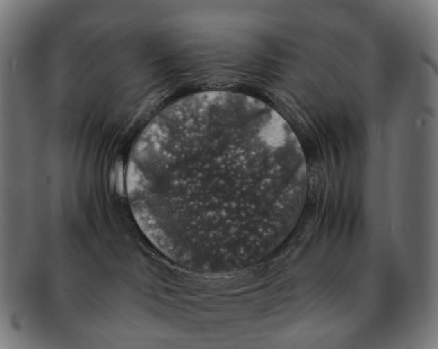 X0000091490046200709131839