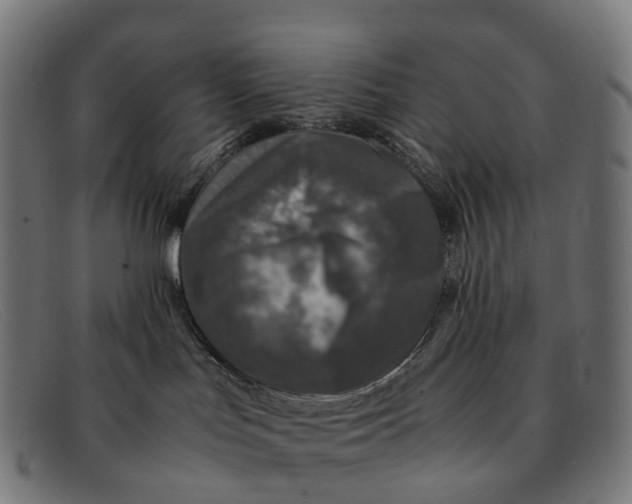 X0000091490047200709131839