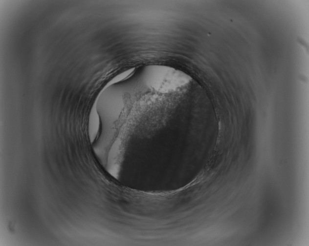X0000091490048200709131839