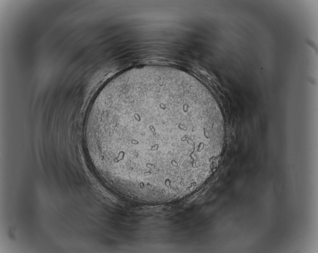 X0000091490049200709131838