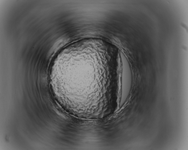 X0000091490050200709131838