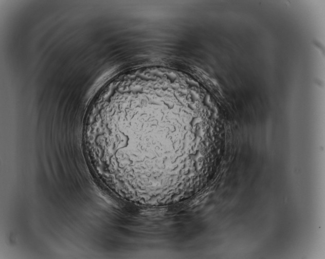 X0000091490051200709131838