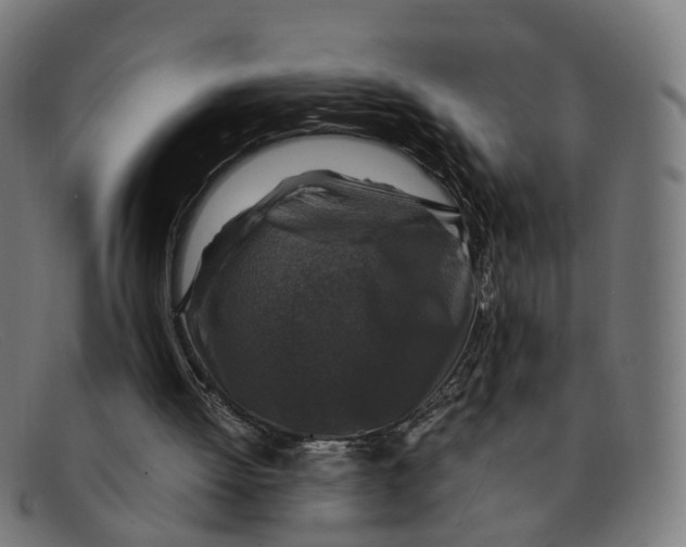 X0000091490052200709131838