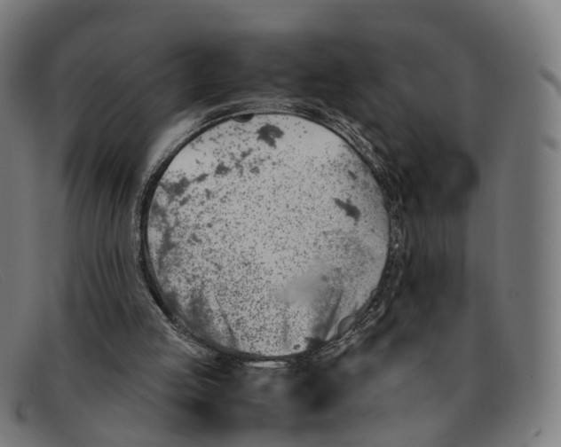 X0000091490053200709131838