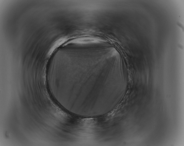 X0000091490054200709131838
