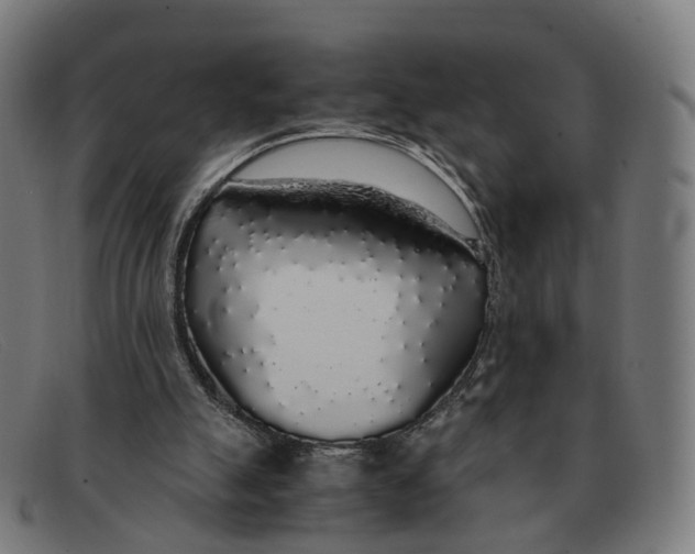 X0000091490055200709131838