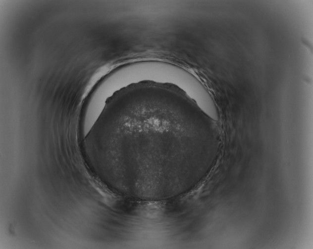 X0000091490056200709131838