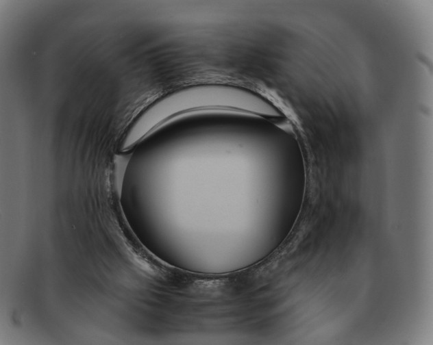 X0000091490057200709131838