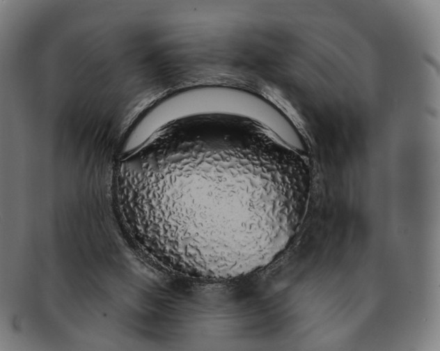 X0000091490058200709131838