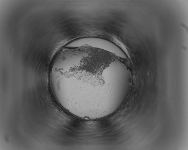 X0000091490059200709131838