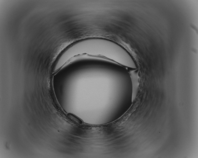 X0000091490060200709131838