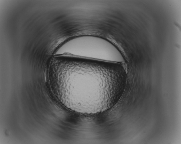 X0000091490062200709131838
