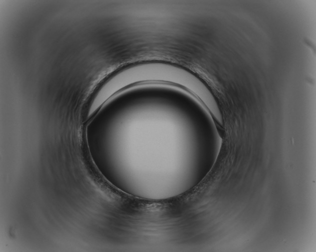 X0000091490064200709131838