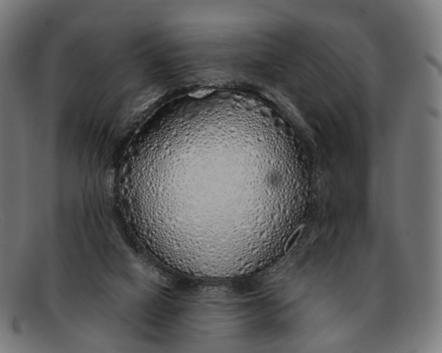 X0000091490066200709131838