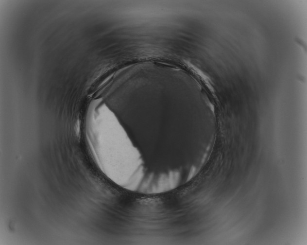 X0000091490067200709131838