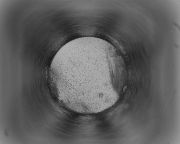 X0000091490069200709131838
