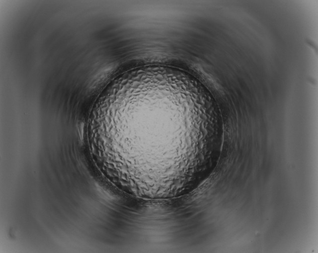 X0000091490070200709131838