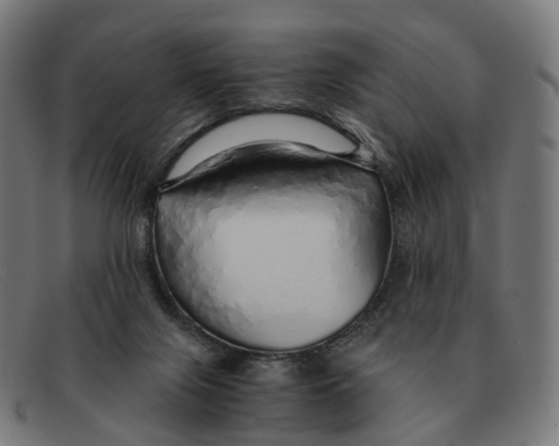 X0000091490071200709131838
