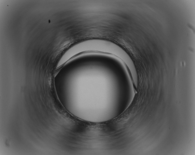 X0000091490072200709131838