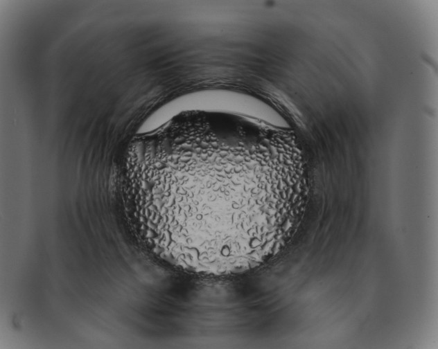 X0000091490073200709131838