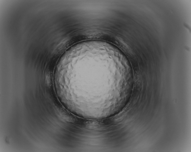 X0000091490074200709131838
