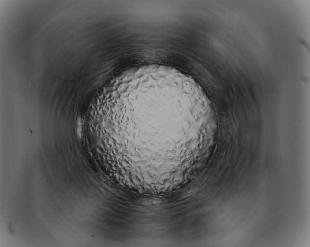 X0000091490075200709131838