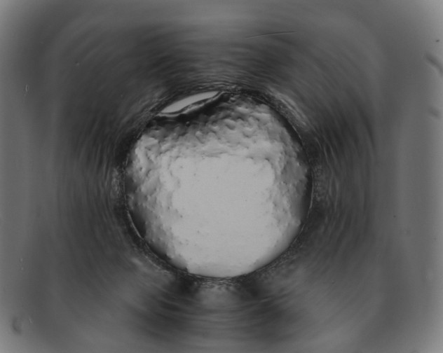 X0000091490077200709131838