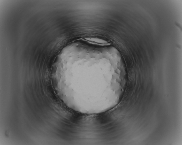 X0000091490078200709131838