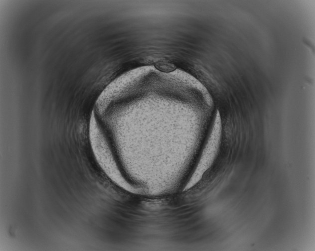 X0000091490079200709131838