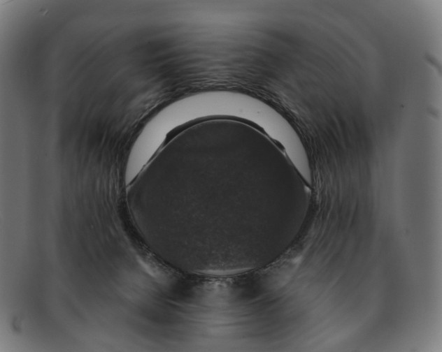 X0000091490080200709131838