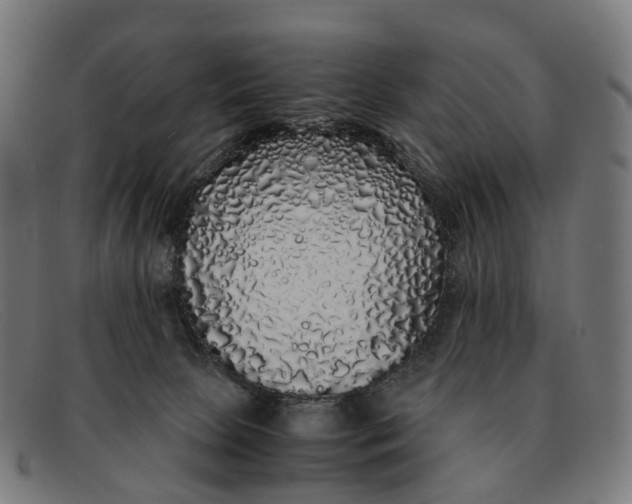 X0000091490081200709131838