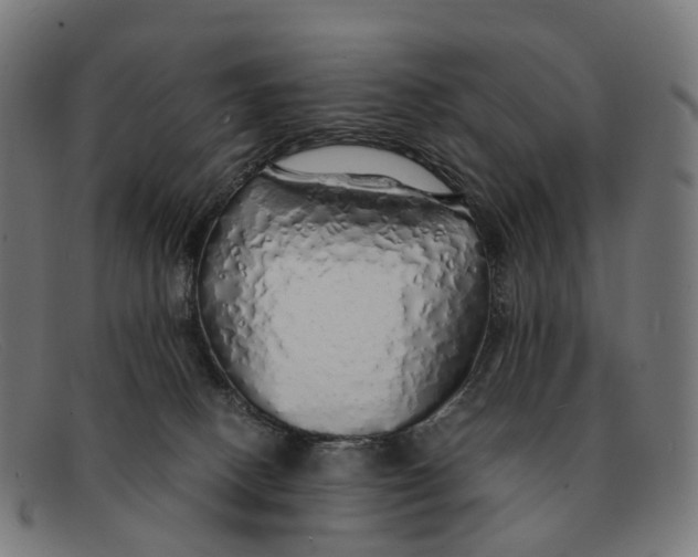 X0000091490082200709131838