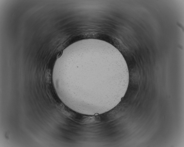 X0000091490083200709131838