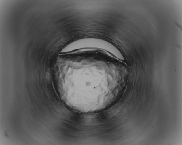 X0000091490085200709131838