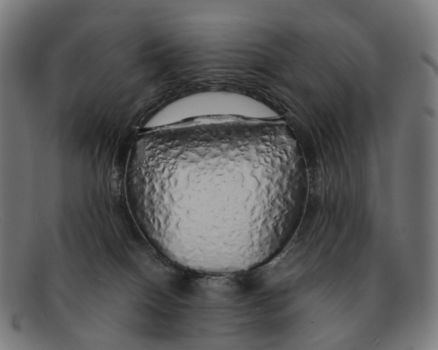 X0000091490086200709131838