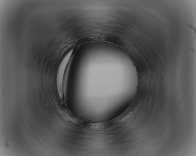 X0000091490088200709131839