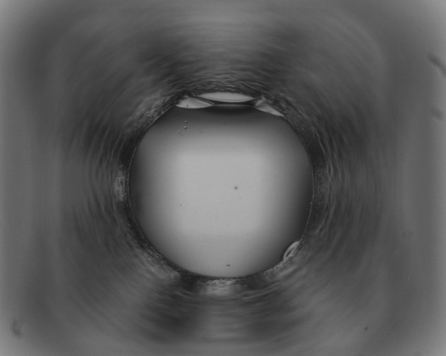 X0000091490090200709131839