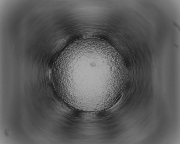 X0000091490094200709131839