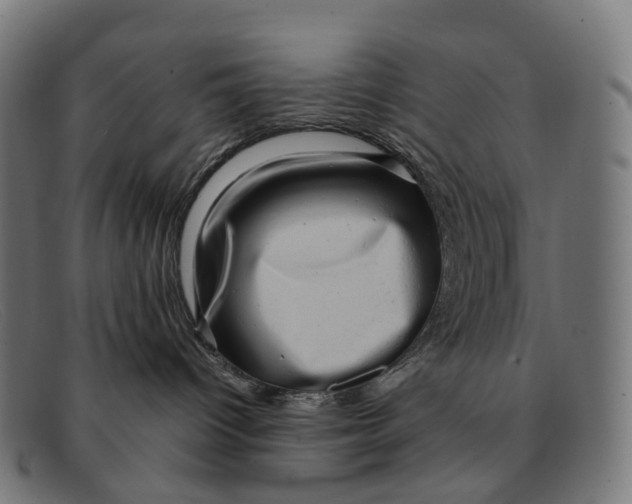 X0000091490096200709131839