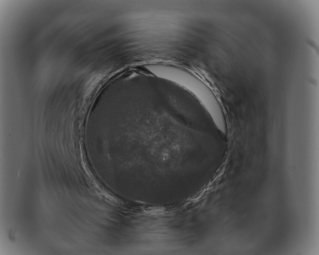 X0000091490097200709131838